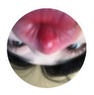 rmflawk6 avatar