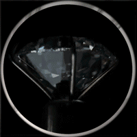 rvn1015 avatar